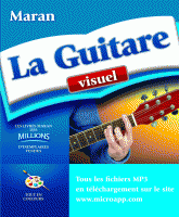 La Guitare visuel